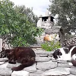 House Robinson Tiziana بيت للعطل فيليكي درفينيك