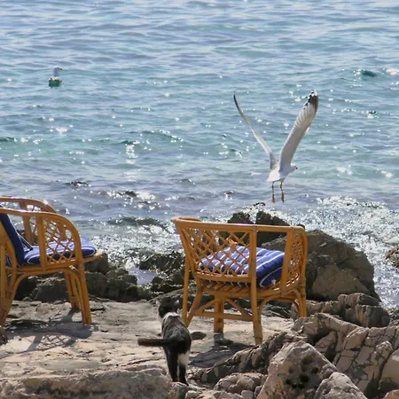 Tatil Evi House Robinson Tiziana Veliki Drvenik