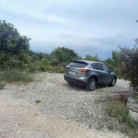 House Robinson Tiziana فيليكي درفينيك