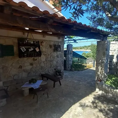 House Robinson Tiziana * فيليكي درفينيك