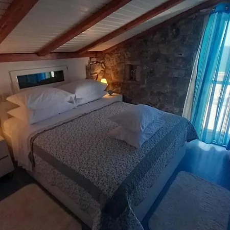 House Robinson Tiziana