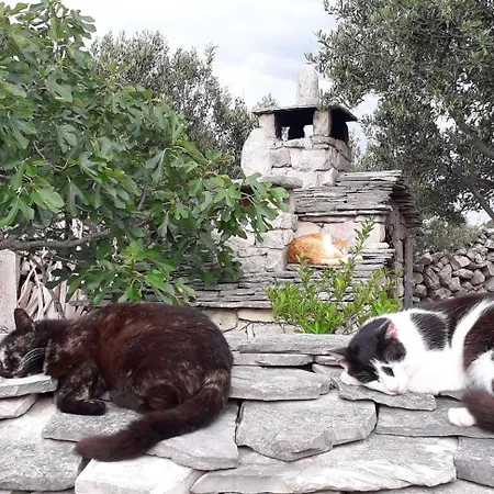 House Robinson Tiziana Tatil Evi Veliki Drvenik